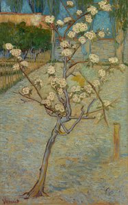 Küçük armut ağacı çiçeği by Vincent van Gogh