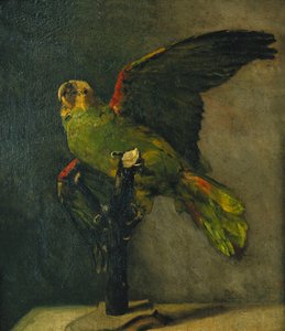 Yeşil Papağan; Yeşil Papağan, 1885 by Vincent van Gogh