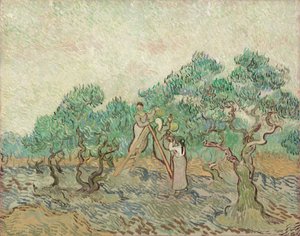 Zeytin Bahçesi by Vincent van Gogh
