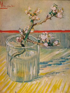 Badem Çiçekli Kök, 1888 by Vincent van Gogh