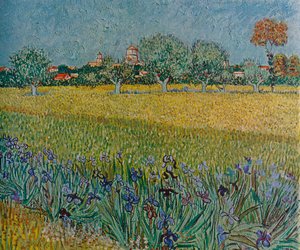 Ales'in Çiçek Açarken Görünüşü, 1888 by Vincent van Gogh