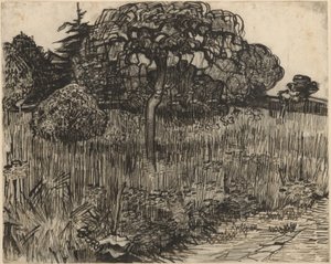 Ağlayan Ağaç by Vincent van Gogh