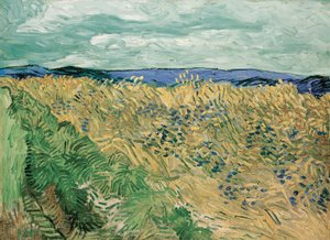 Peygamber Çiçeği ile Buğday Tarlası by Vincent van Gogh