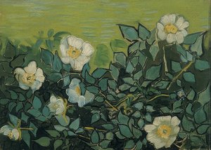 Yaban gülü. 1889 by Vincent van Gogh