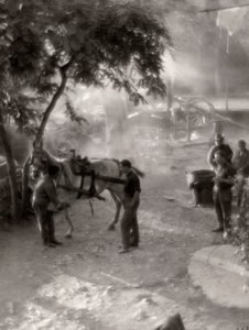 Atların nallanması, İtalya by Vincenzo Balocchi