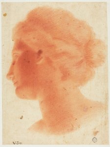  by Vincenzo Dandini