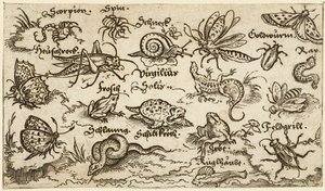 Ön planda su ile minimal zeminde böcekler, sürüngenler, salyangozlar ve balıklar..., 1572.