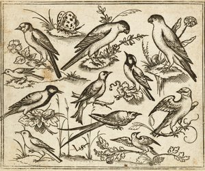 Douce Ornament Prints Albüm I