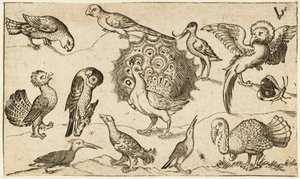 Douce Ornament Prints Albüm I