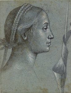 Bir Kutup çevresinde flama yarası olan bir Kadın Başı, 15. yüzyılın sonlarında by Vittore Carpaccio