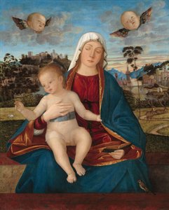 Madonna ve Çocuk, c.1505-10 (kavak panel üzerine yağlı boya) by Vittore Carpaccio