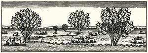 Thomas Hardy