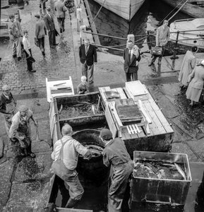  by Volkmar Wentzel