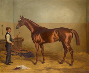 Üç yaşındaki Sir Hugo, Damat tarafından Ahırda tutuluyor, 1875-92 dolayları (tuval üzerine yağlı boya) by W.H. Hopkins