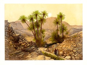 Sina Çölü, Mısır, c1870.