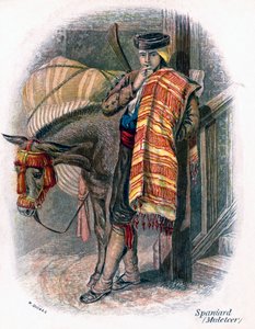 İspanyol Katırcı, 1809.