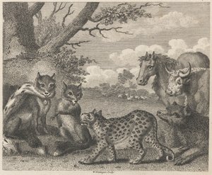 Aslan, Tilki ve Kazlar
