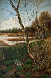 Olton Mill