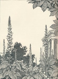 Bir Yaz Gecesi Rüyası için İllüstrasyon, 1914, 1925. by William Heath Robinson