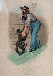  by W. Kohler