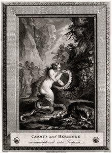 Cadmus ve Hermione, Yılanlara dönüşmüş, 1776