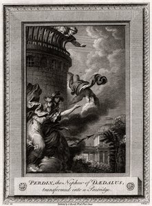 Daedalus