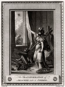Arachne