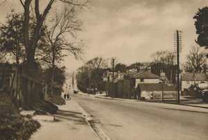 Dover