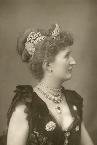 Leydi Carew, saray mensubu