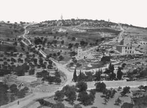 Zeytin Dağı, Kudüs, Filistin, 1895.