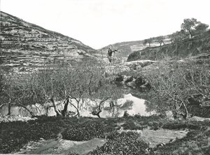 Siloam Havuzu, Kudüs, Filistin, 1895. by W and S Ltd