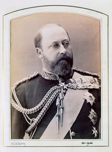 Kral Edward VII, Galler Prensi, c1884-1898