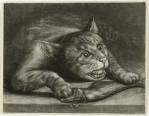 Bir balık ile kedi by Wallerant Vaillant