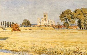 Meadows