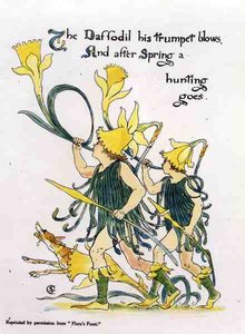 Flora