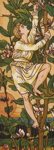 Jack ve fasulye sapı (renkli taş) by Walter Crane