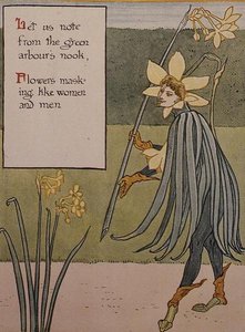 Jonquil, 