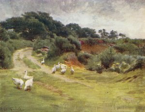 Yeni Orman: Royden Common, Brokenhurst yakınlarında (renkli taş) by Walter Frederick Roofe Tyndale