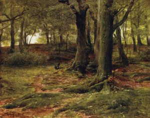 Yeni Orman: The Hill Woods, Lyndhurst (renkli taş) by Walter Frederick Roofe Tyndale
