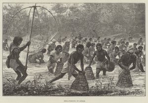 Assam'da Arı Balıkçılığı by Walter Paget