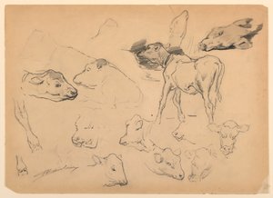 Sığır, Koyun Başları ve Domuz Çalışmaları by Walter Shirlaw