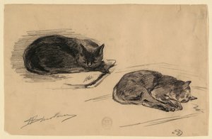 Kedilerin Çalışması by Walter Shirlaw