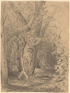 Ağaç ve Yeşillik by Walter Shirlaw
