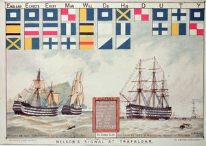 Nelson