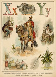X Harfi ve Y Harfi (kromolitho)