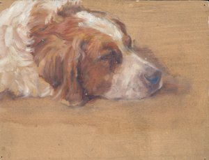 köpek kafası (çalışma) by Walther Gamerith