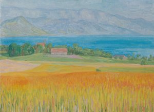 Kornfeld am Attersee by Walther Gamerith