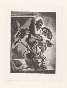 Pencere çerçevesindeki Philodendron