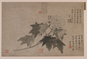 Hibiskus, 1347. by Wang Yuan