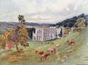  by Warwick (after) Goble